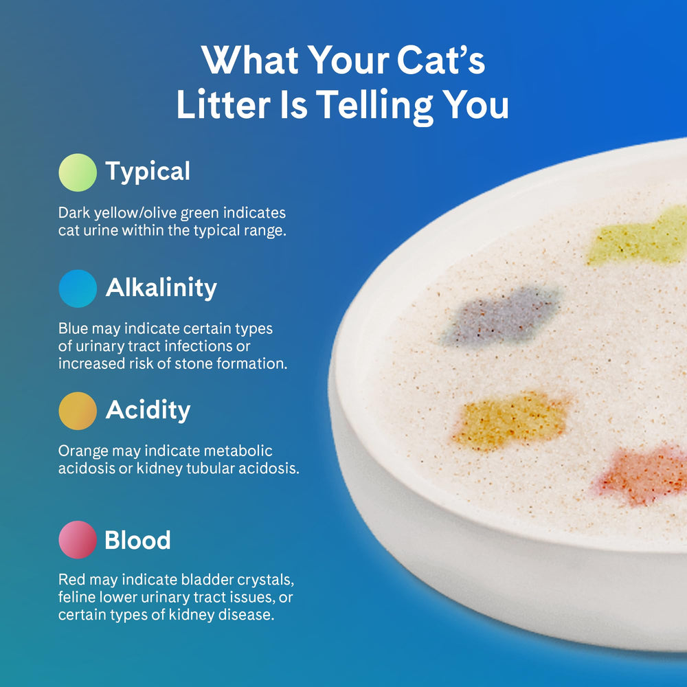 PrettyLitter in bathroom lifestyle setting showing discreet odor control