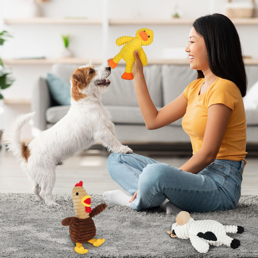 PrimePets toy in use during fetch demonstrating interactive family play