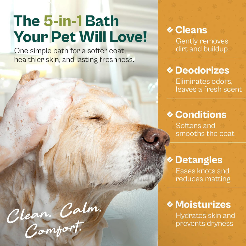 Pro Pet Works dog after bath with clean shiny coat demonstrating hydration