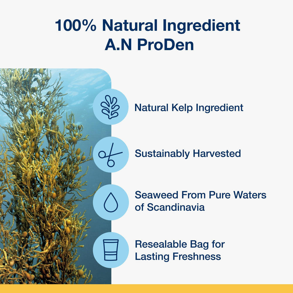 ProDen PlaqueOff nutrition facts panel showing clean ingredients