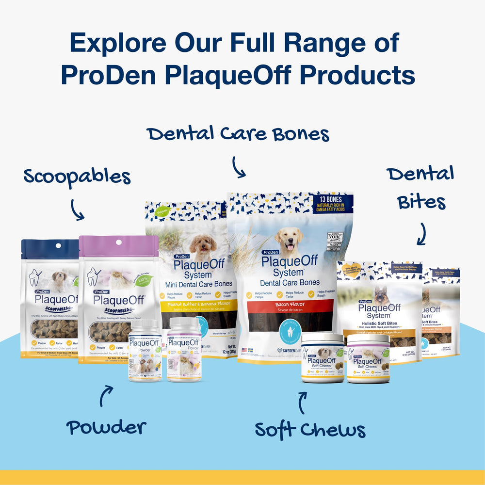 ProDen PlaqueOff owner sprinkling powder and easing oral care routine
