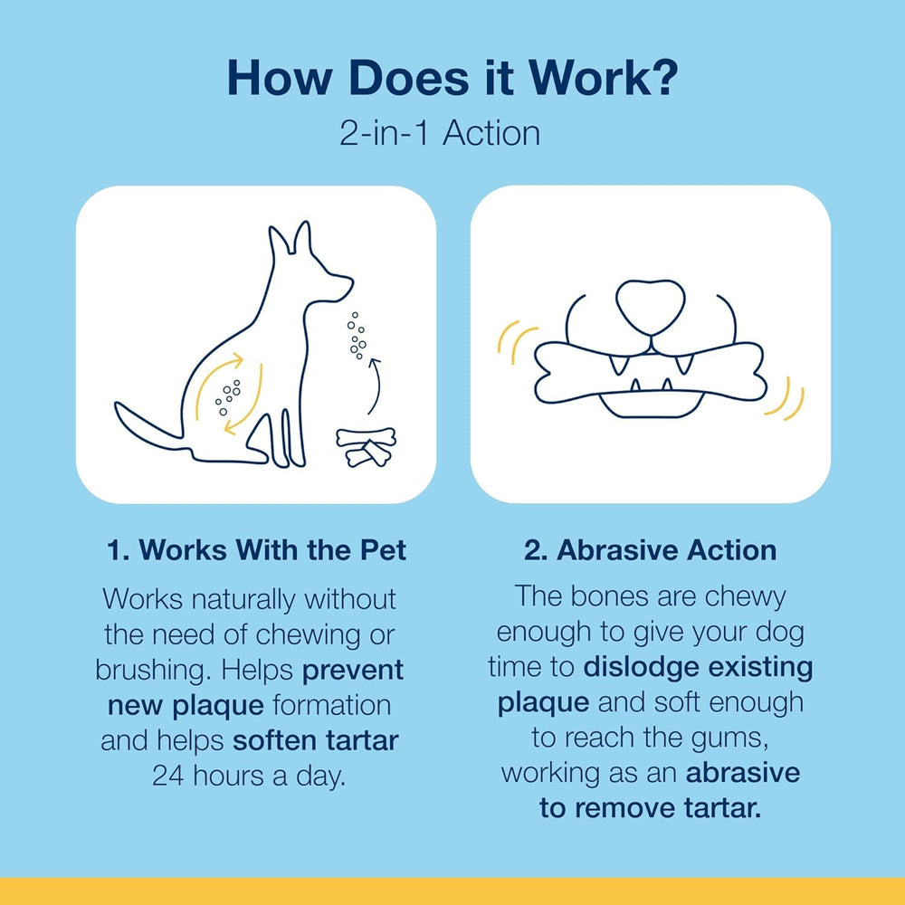 ProDen PlaqueOff lifestyle image with dog at night suggesting fresher breath benefits