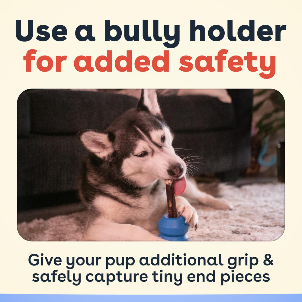 Pupford final chew stage in holder improving safety
