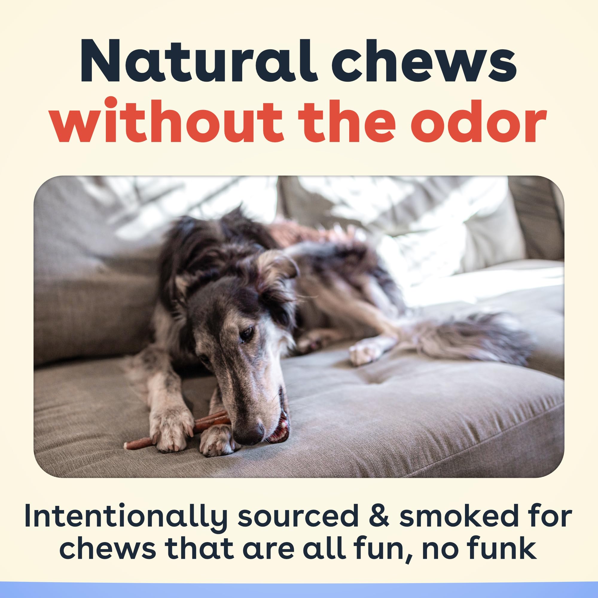 Pupford open pack with sticks visible for easy grabbing