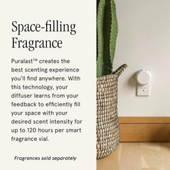 Pura app scheduling screen open on phone controlling scent times and intensity remotely