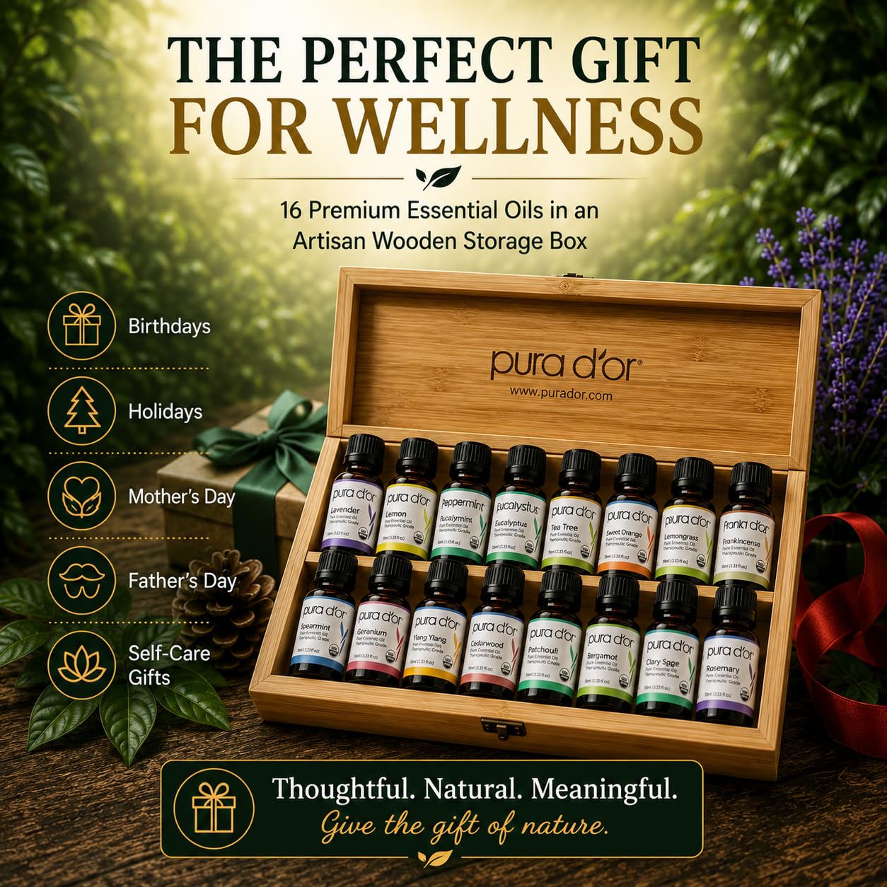 PURA D'OR essential oils beside diffuser in calm room showing mood-enhancing benefit
