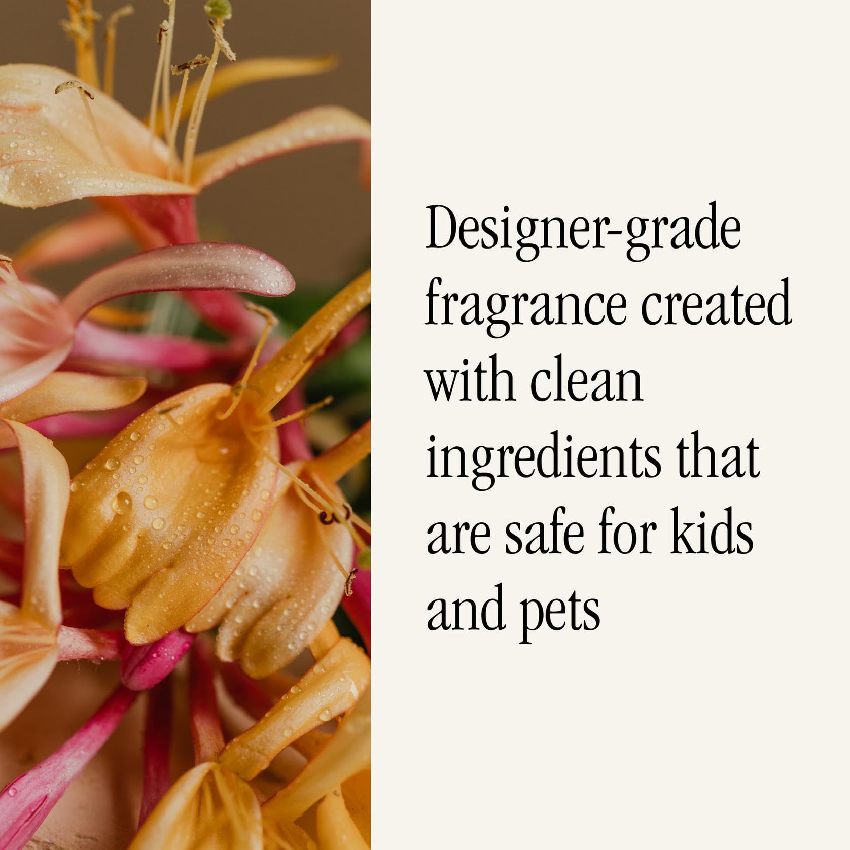 Pura honeysuckle in diffuser operating in modern living room