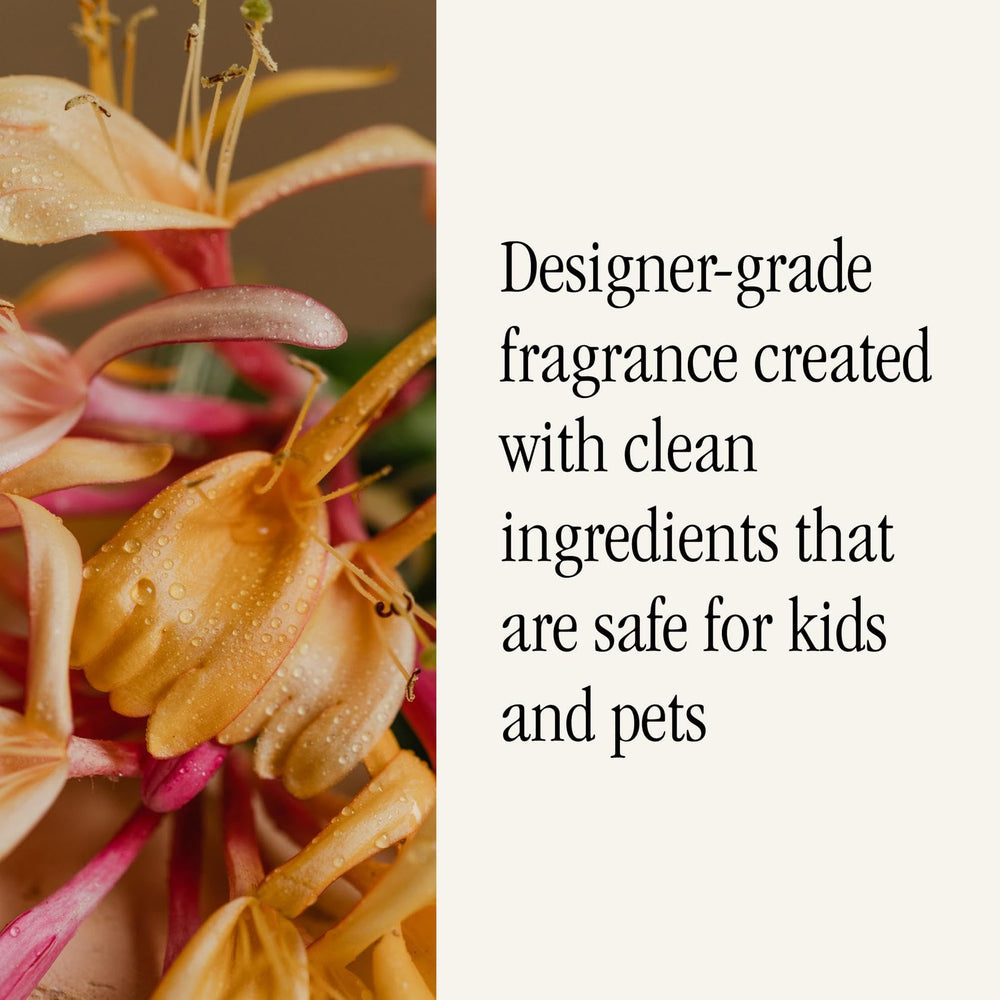 Pura honeysuckle in diffuser operating in modern living room