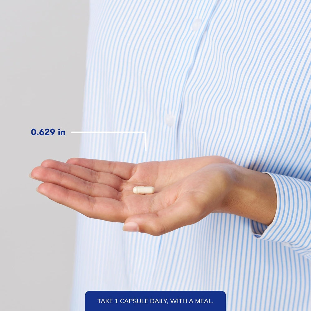 Micronized DHEA powder texture image by Pure Encapsulations showing fine particle absorption benefit