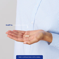 Micronized DHEA powder texture image by Pure Encapsulations showing fine particle absorption benefit