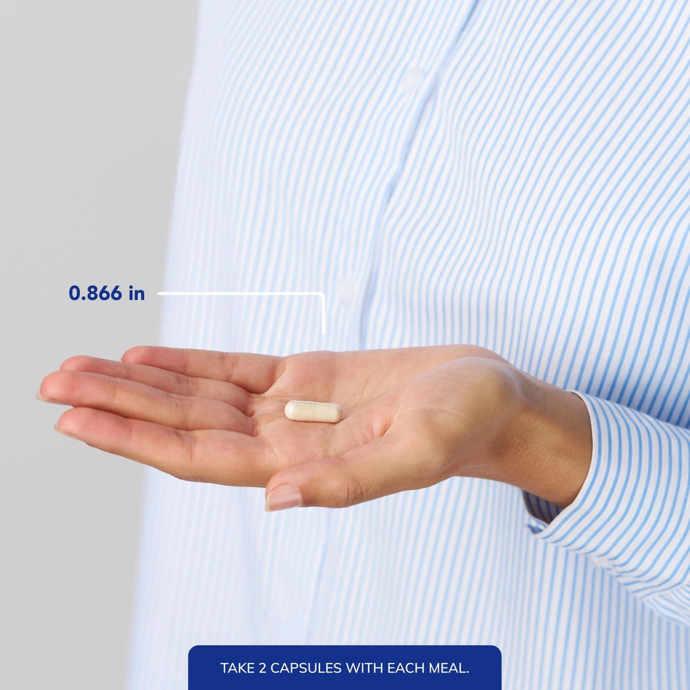 Pure Encapsulations powder texture from opened capsule illustrating mix of enzymes