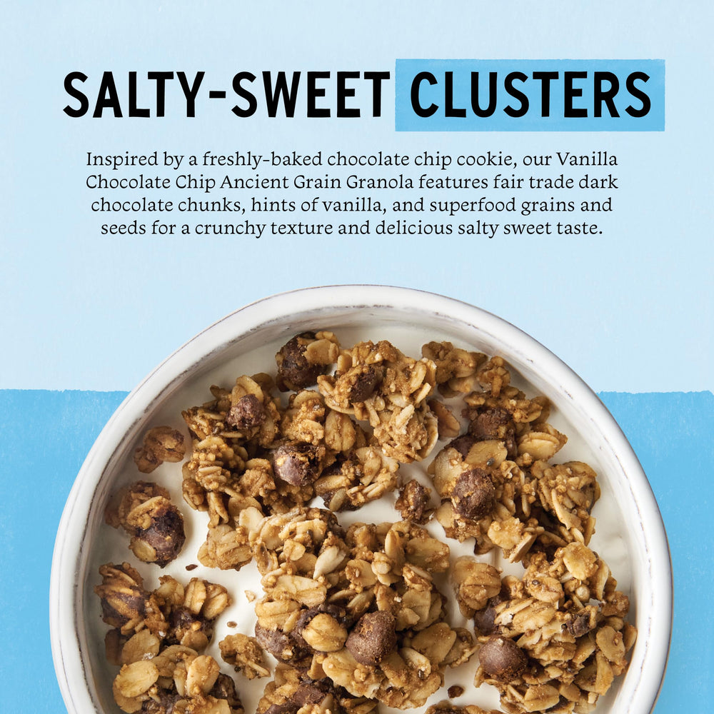 purely elizabeth close-up of granola clusters highlighting crunchy texture