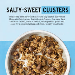 purely elizabeth close-up of granola clusters highlighting crunchy texture