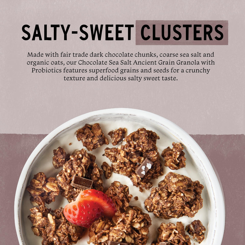 purely elizabeth close-up of crunchy chocolate sea salt clusters, highlights texture and appealing crunch