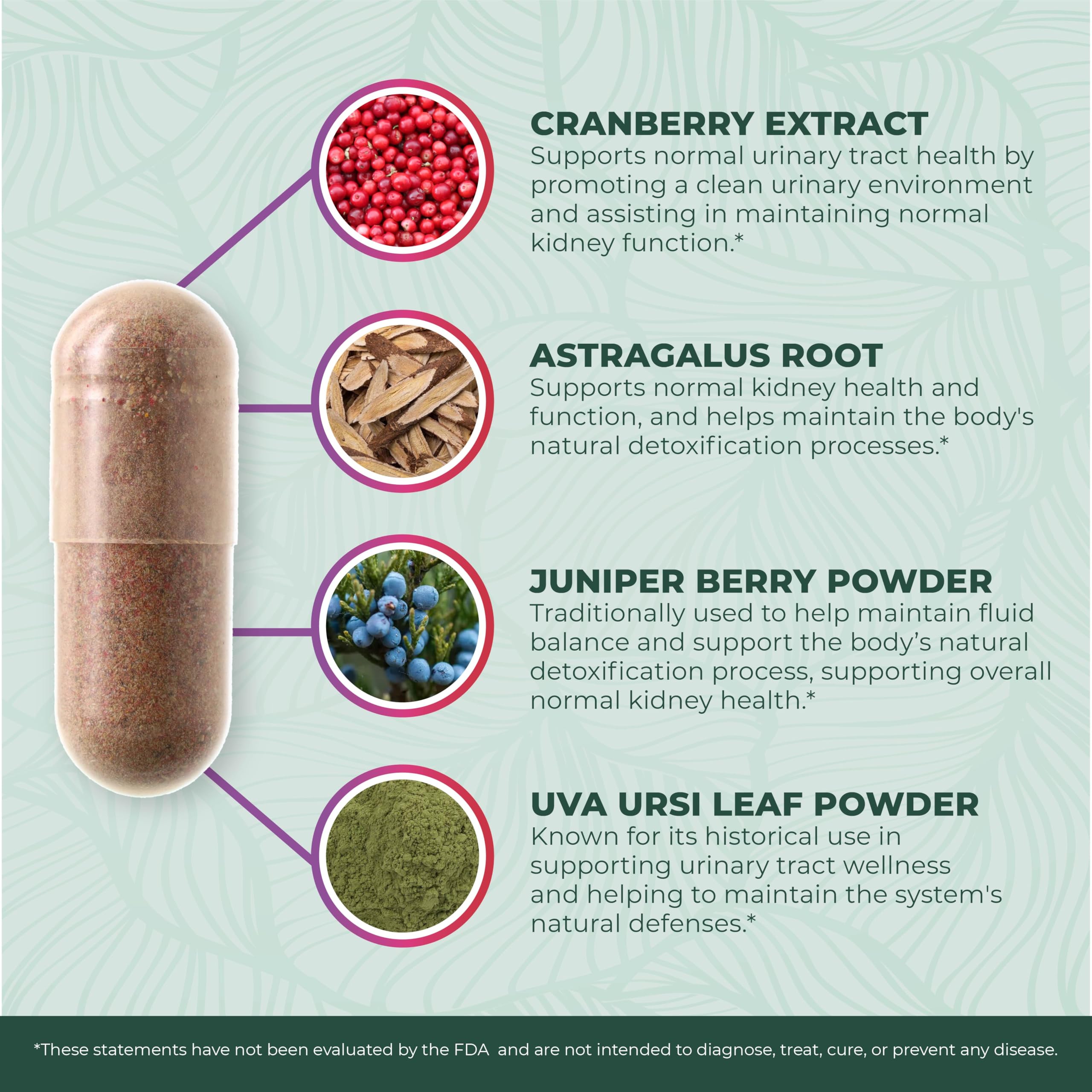 PurePremium size comparison beside common items shows capsule scale for dosing clarity