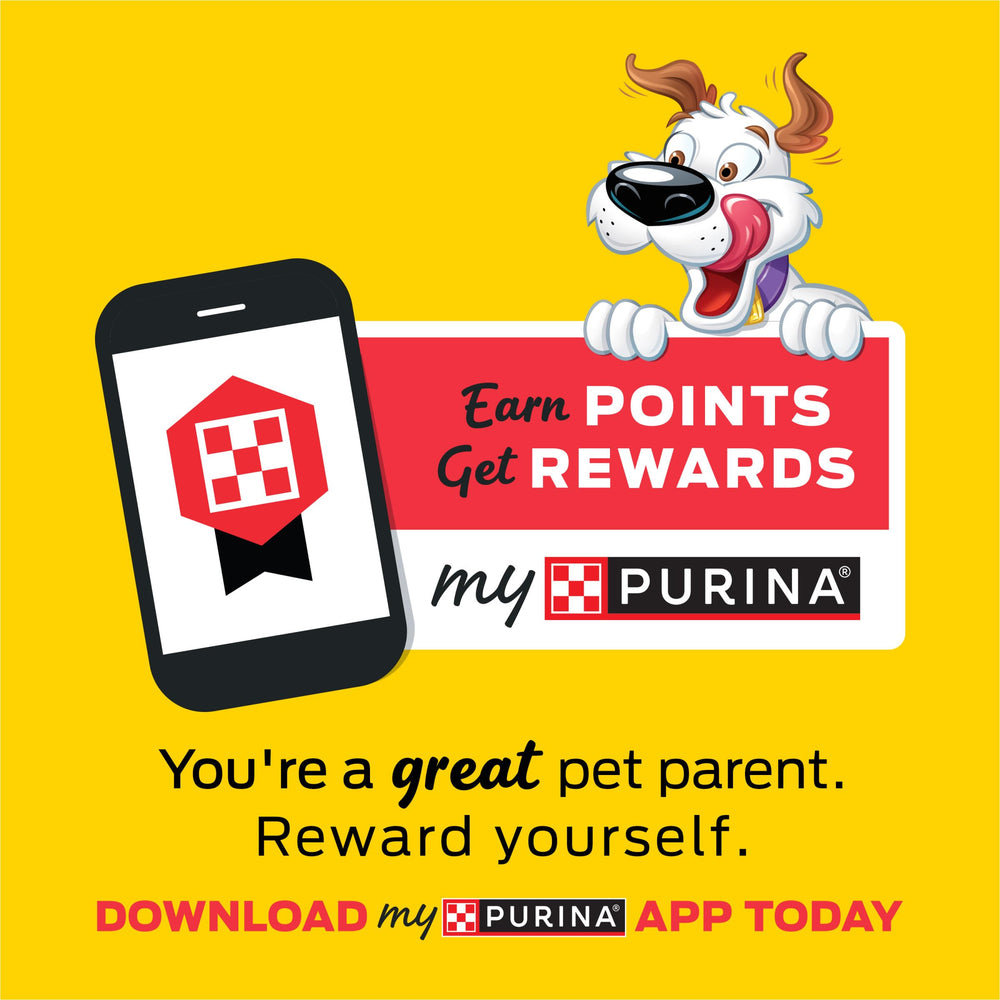 Purina Beggin' torn piece used as a training reward shows portion control benefit