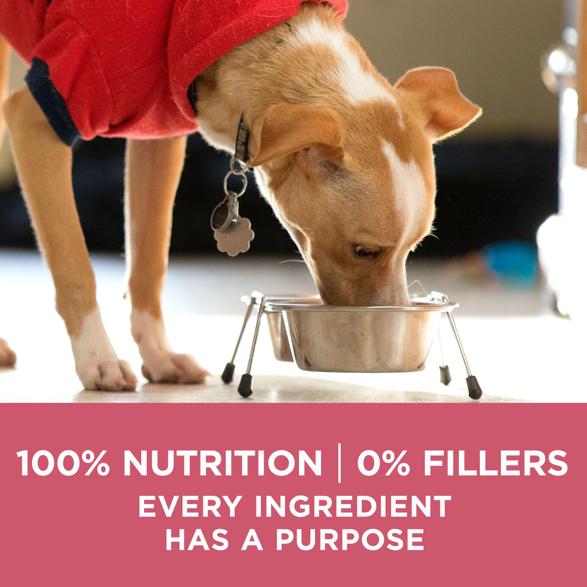Purina ONE bag on counter illustrating everyday convenience