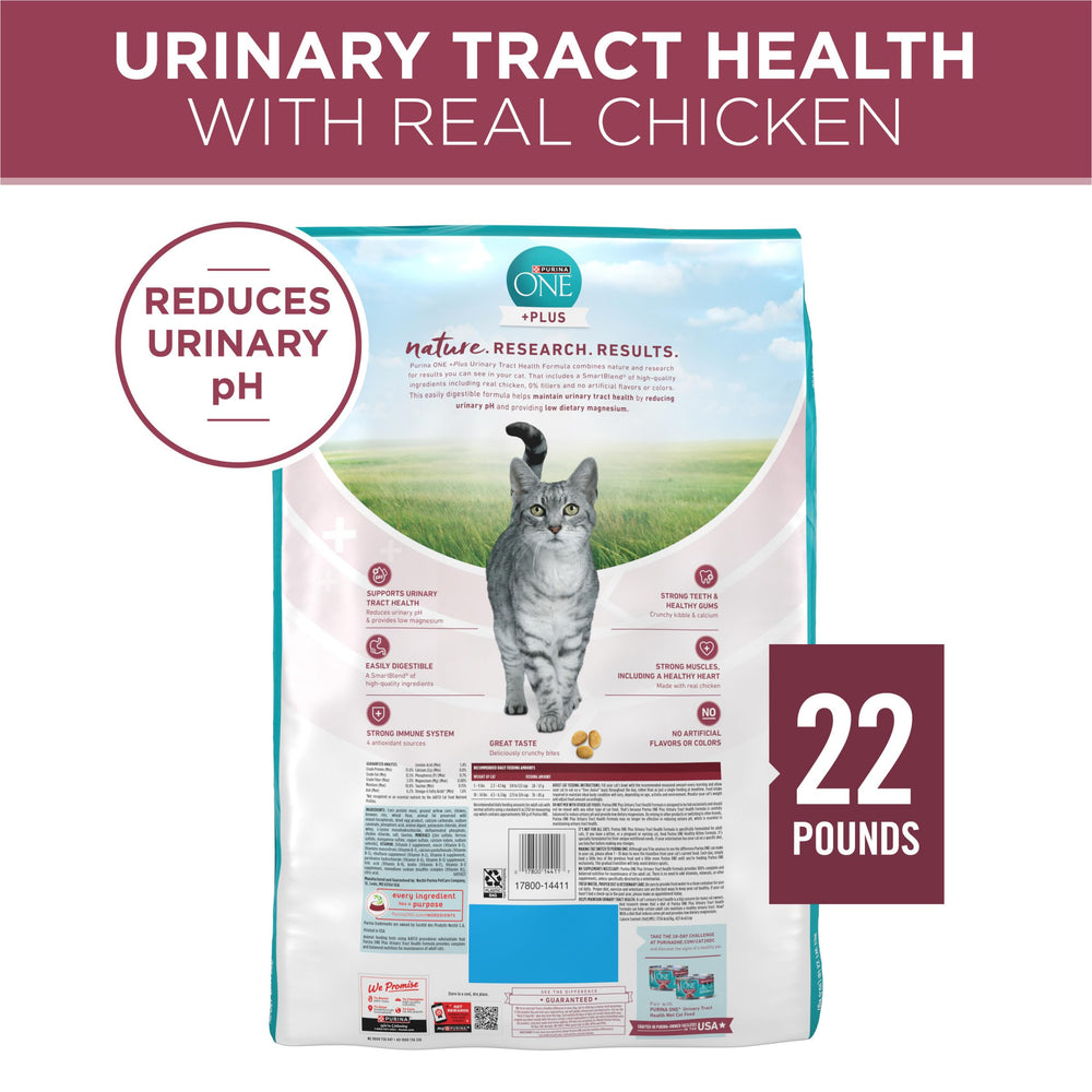Purina ONE bag on kitchen counter illustrating home storage convenience