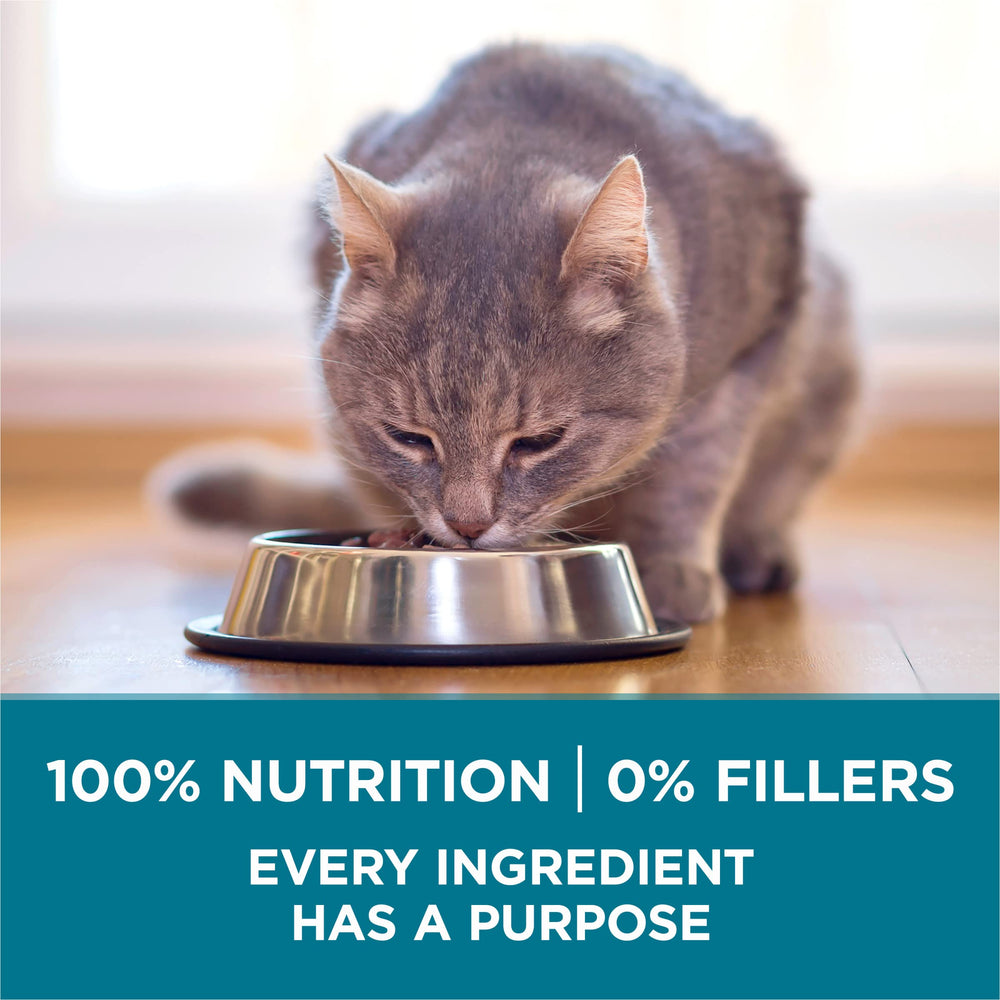 corner of Purina ONE bag with resealable seal highlighting freshness benefit