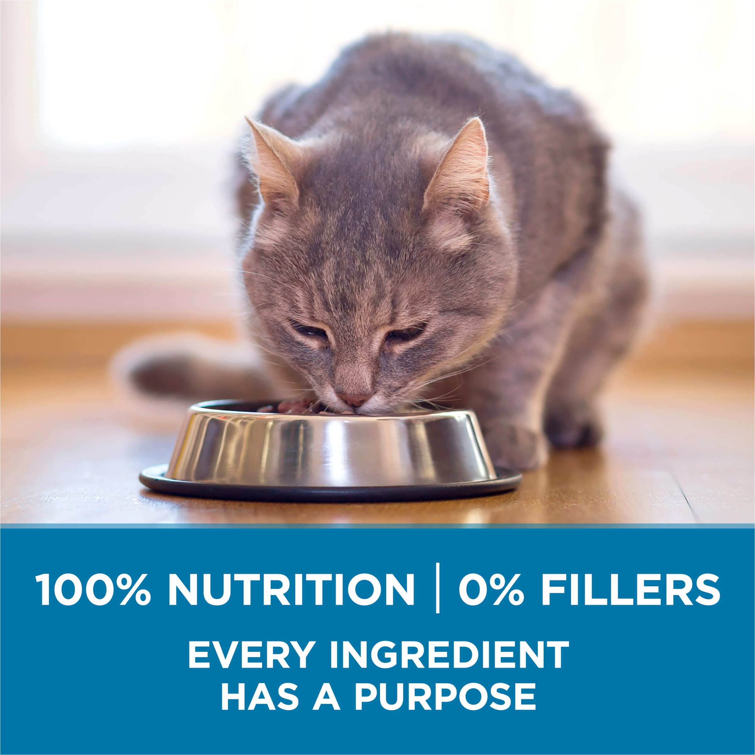 Purina ONE bowl beside toys illustrating indoor lifestyle nutrition