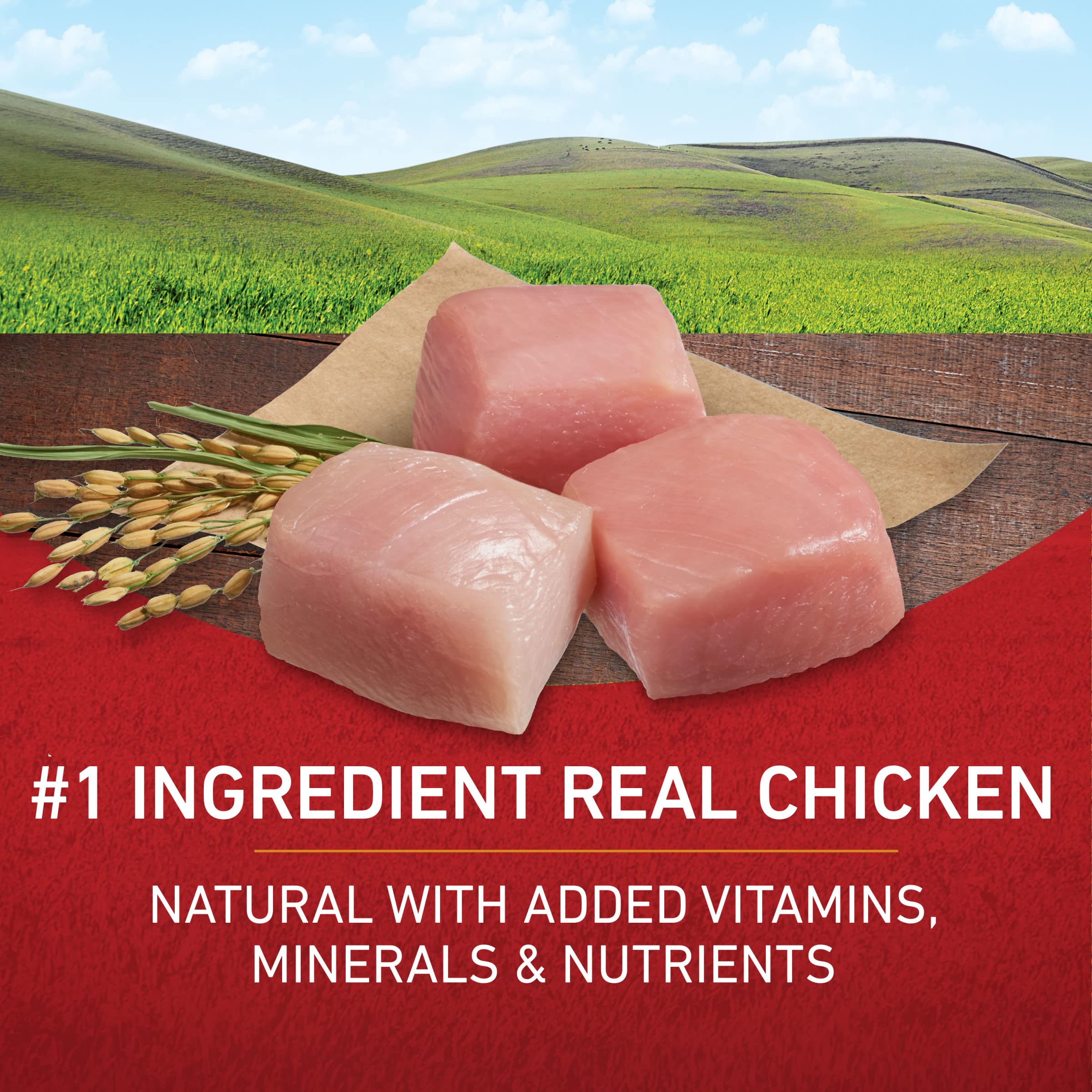 Bowl of Purina ONE served fresh conveying balanced adult nutrition