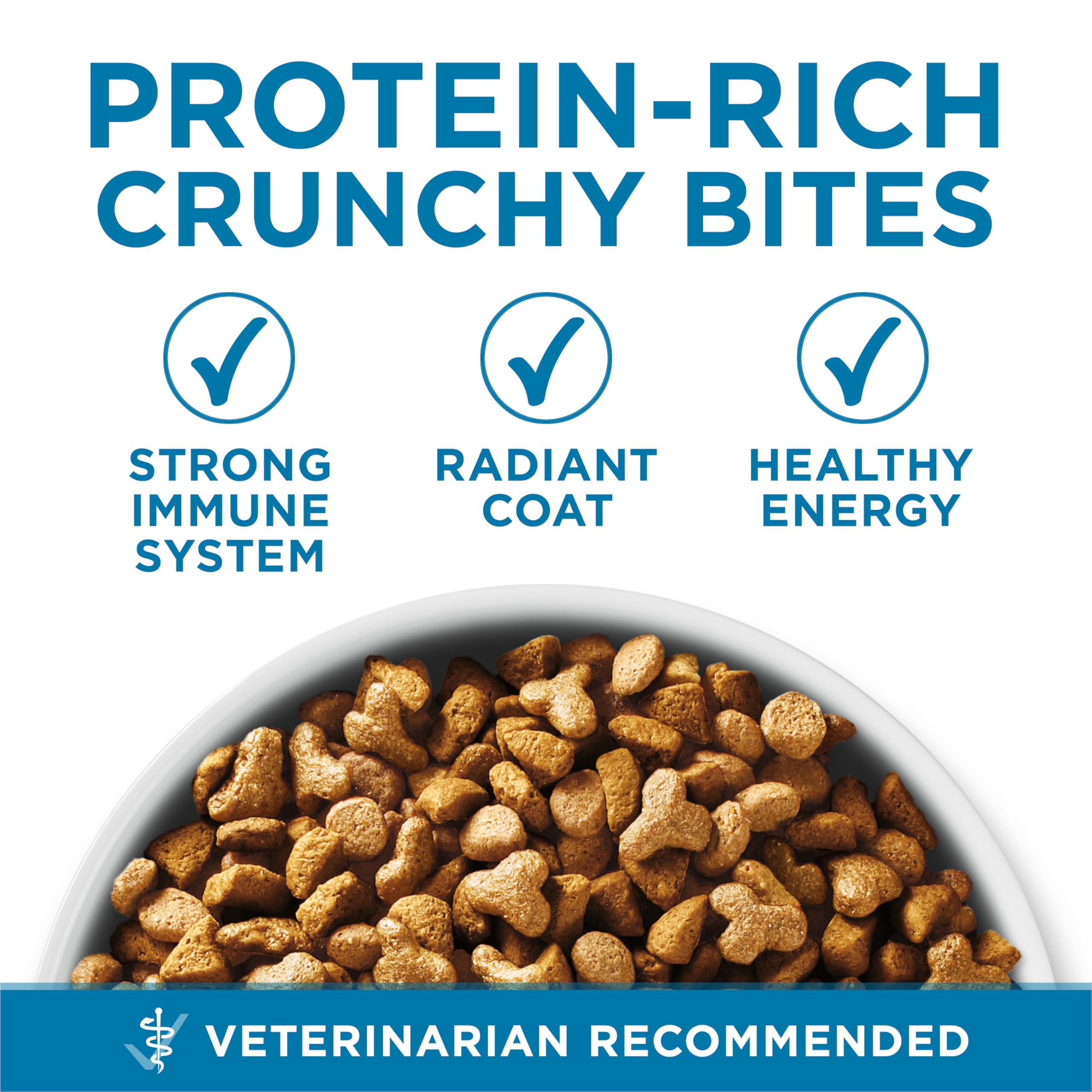 Senior cat eating Purina ONE from a bowl showcasing appetite and satisfaction
