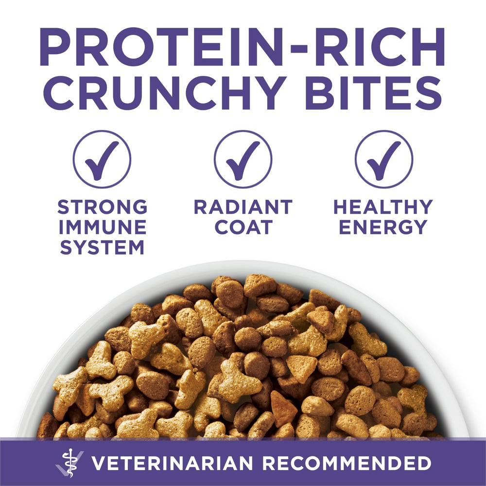 Purina ONE cat eating from bowl demonstrating palatability and enjoyment