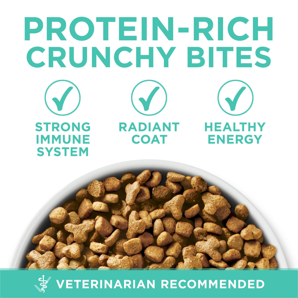Purina ONE crunchy kibble detail emphasizing tooth-cleaning benefit