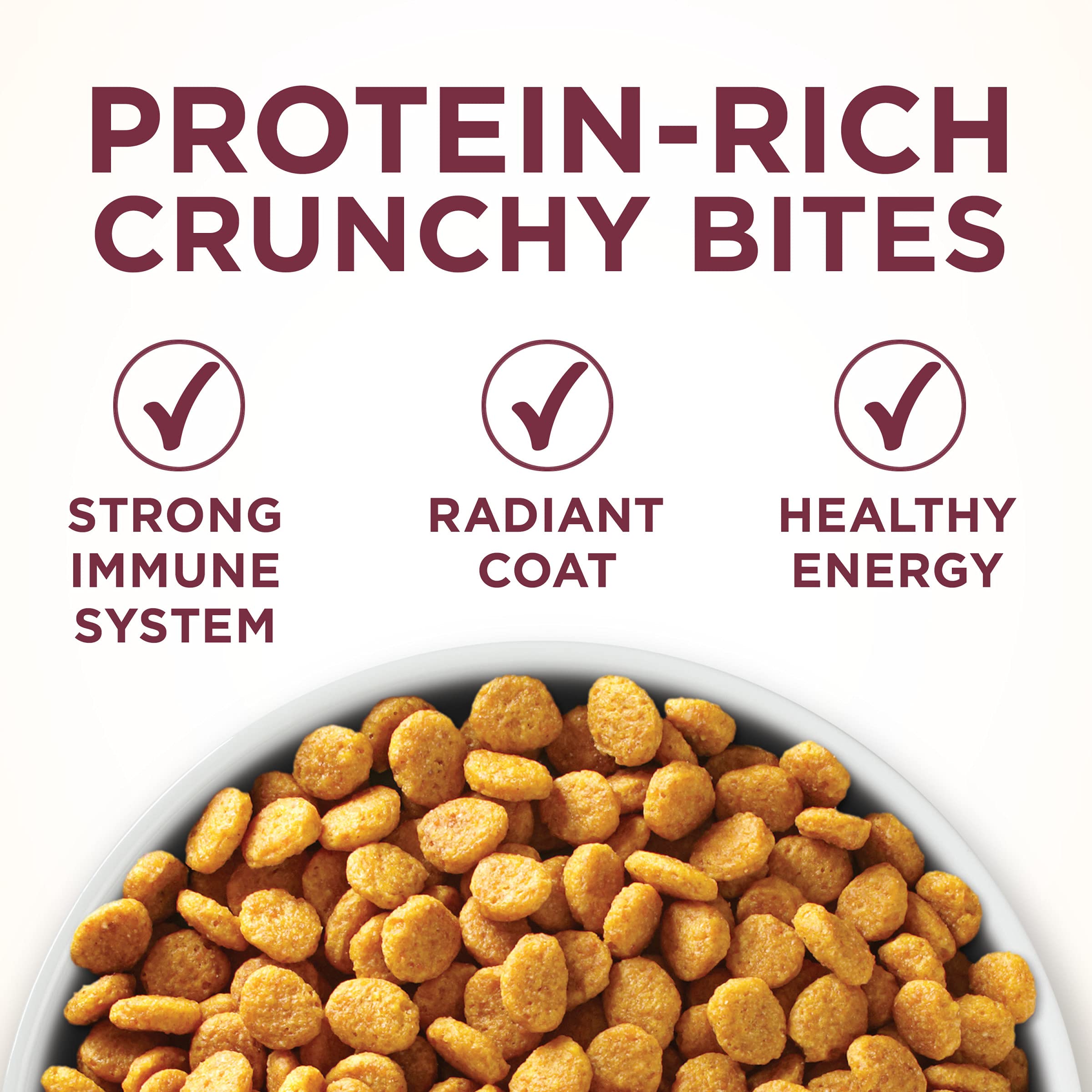 Purina ONE crunchy kibble texture close-up for dental support