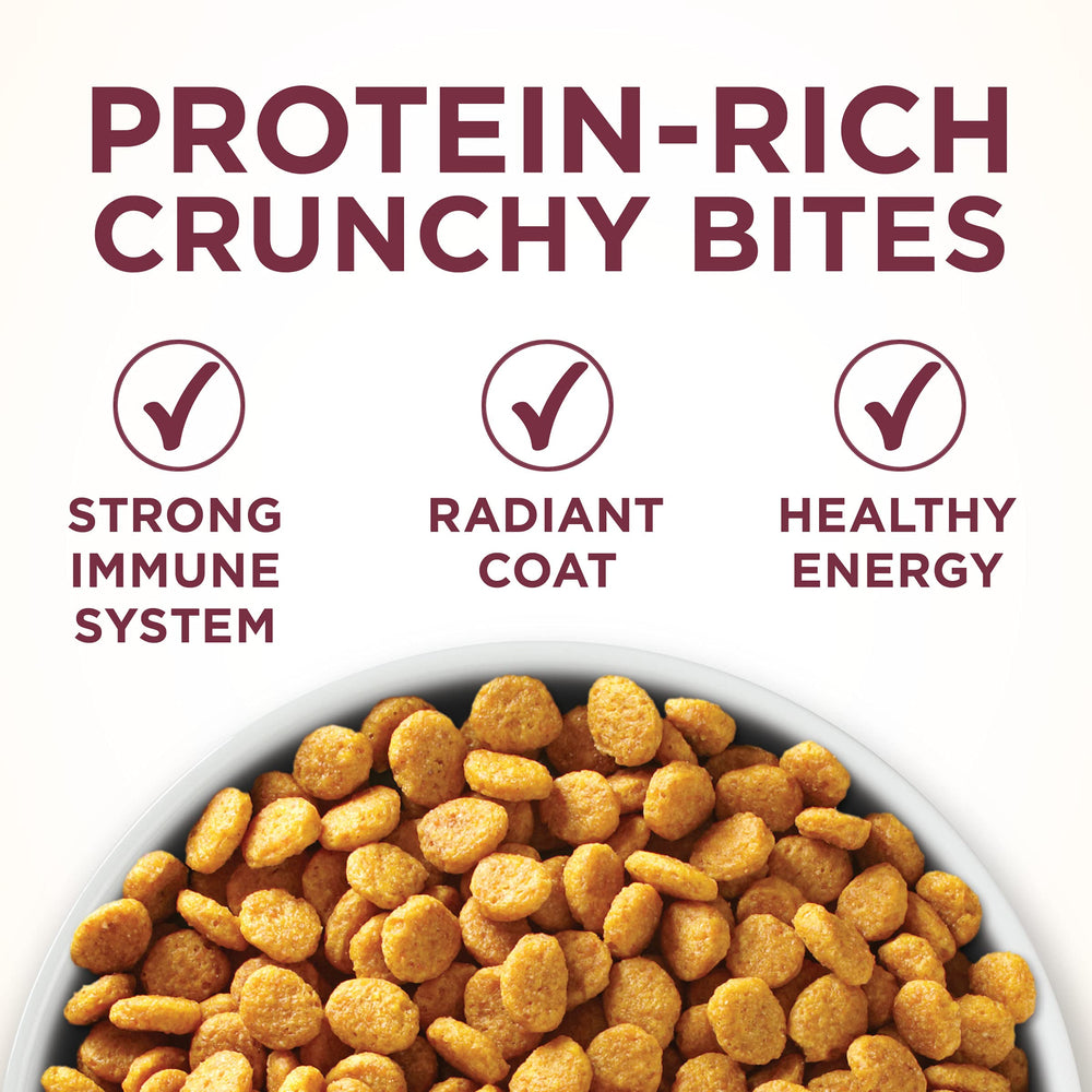 Purina ONE crunchy kibble texture close-up for dental support