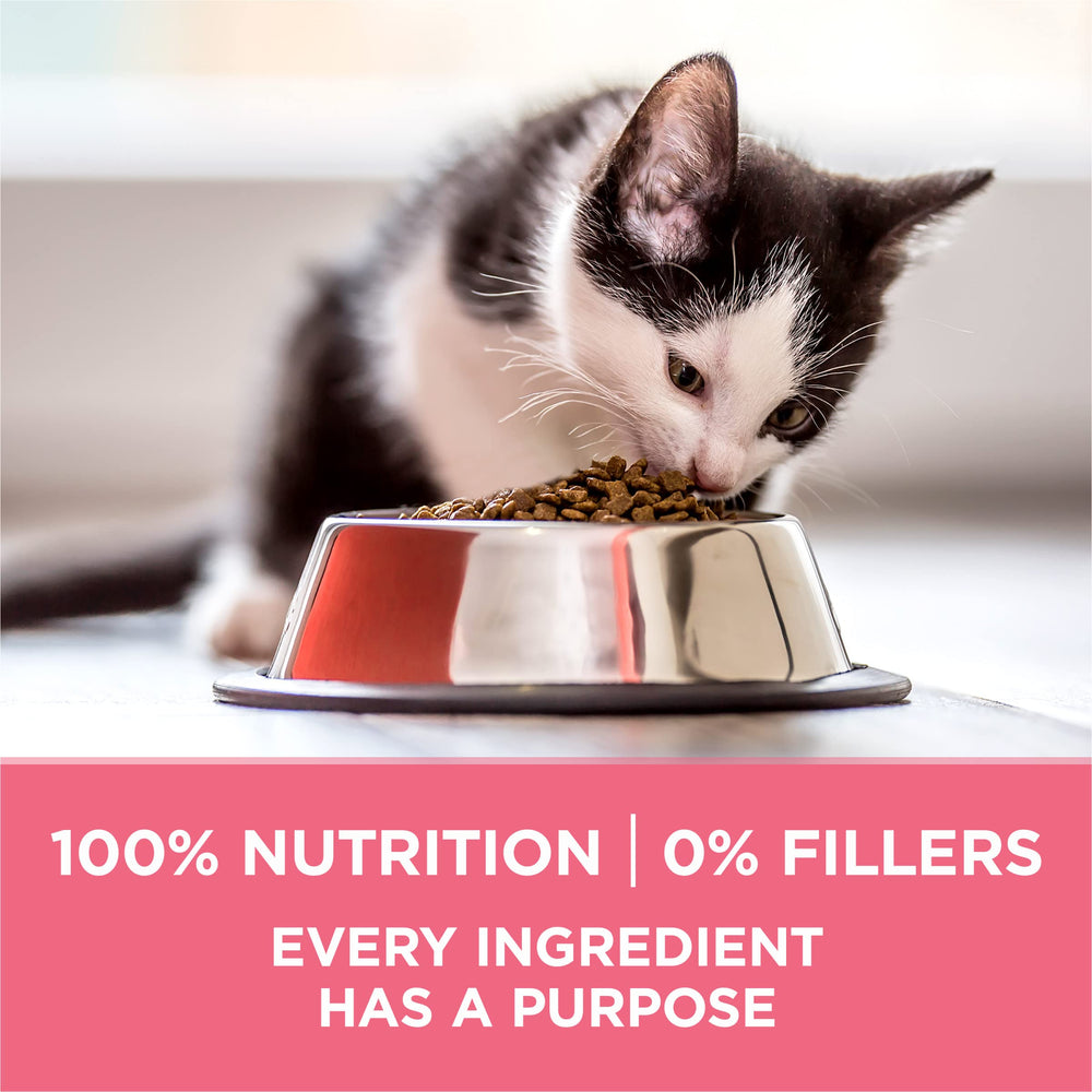 Purina ONE DHA source illustration supporting brain and vision