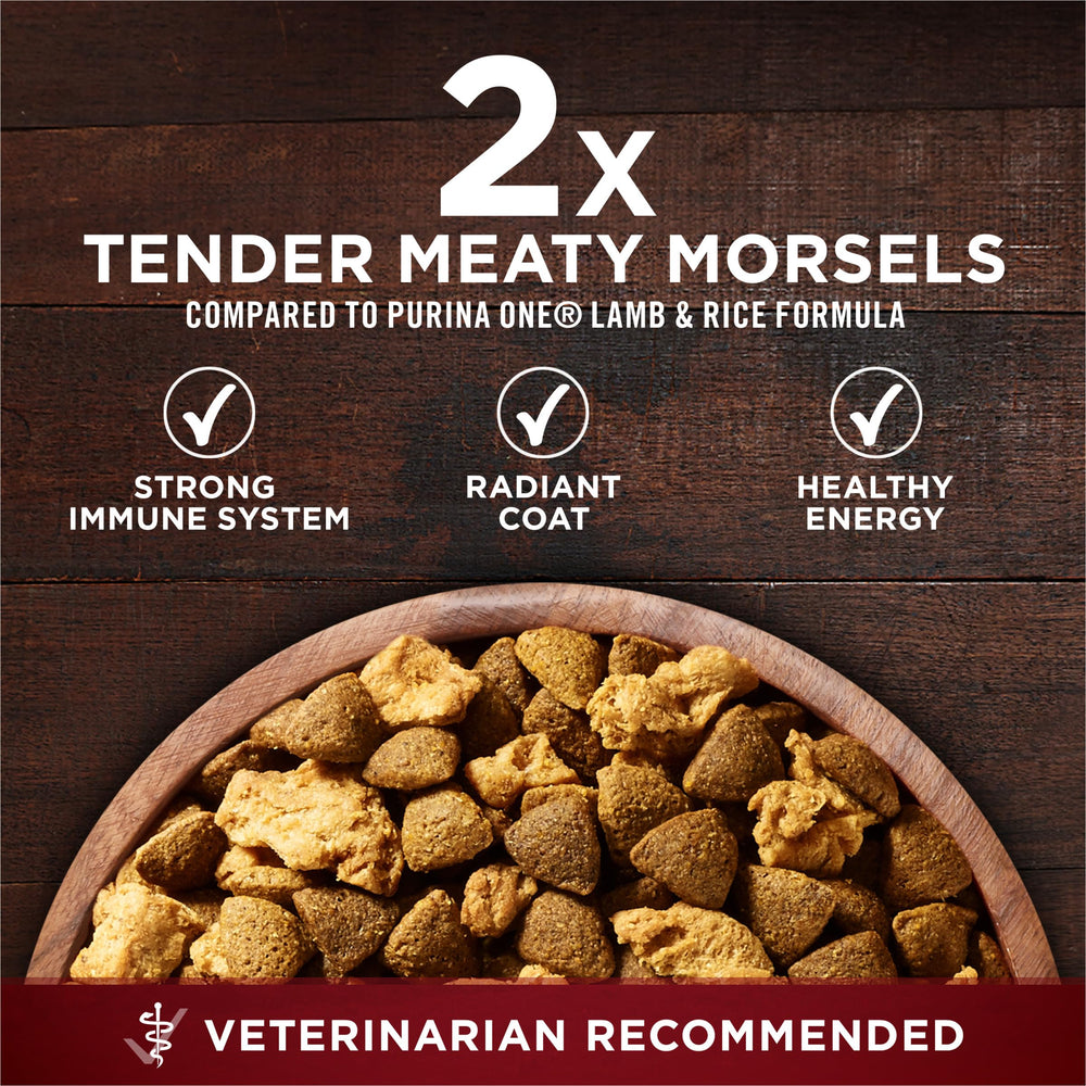 Purina ONE dog eating from bowl showing palatability and enjoyment