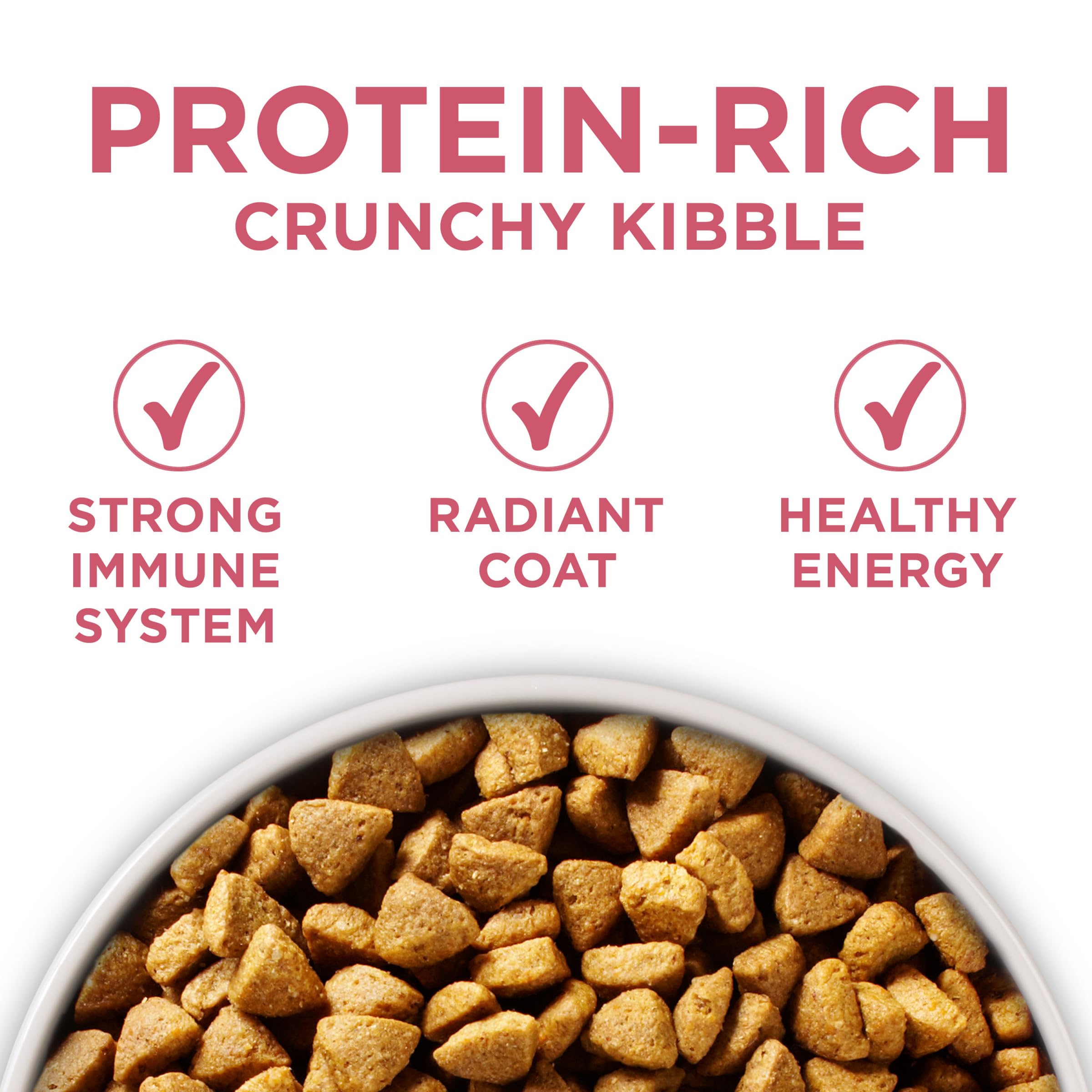 Dog eating Purina ONE kibble displaying appetite appeal