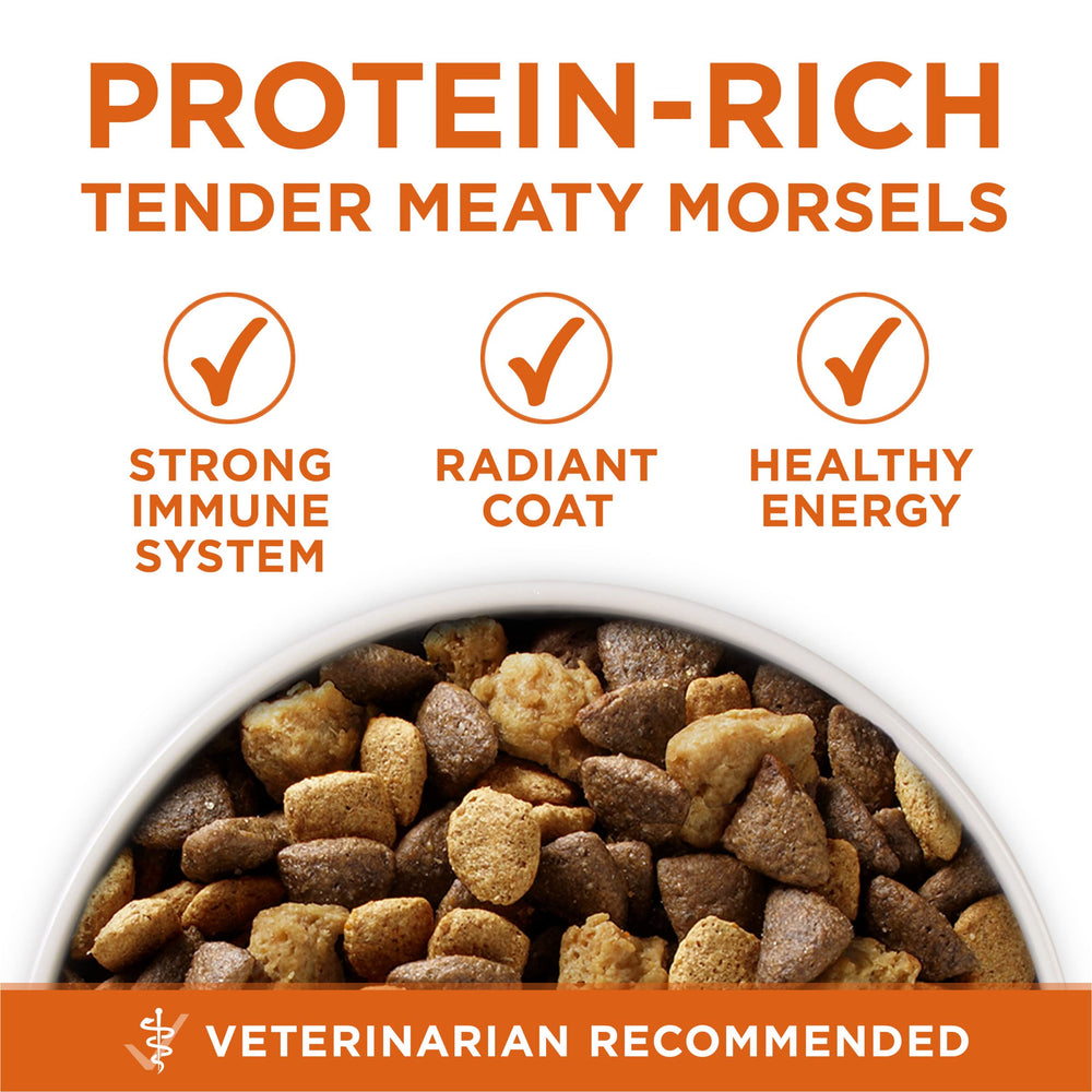 Purina ONE ingredient label highlighting real turkey first for high protein