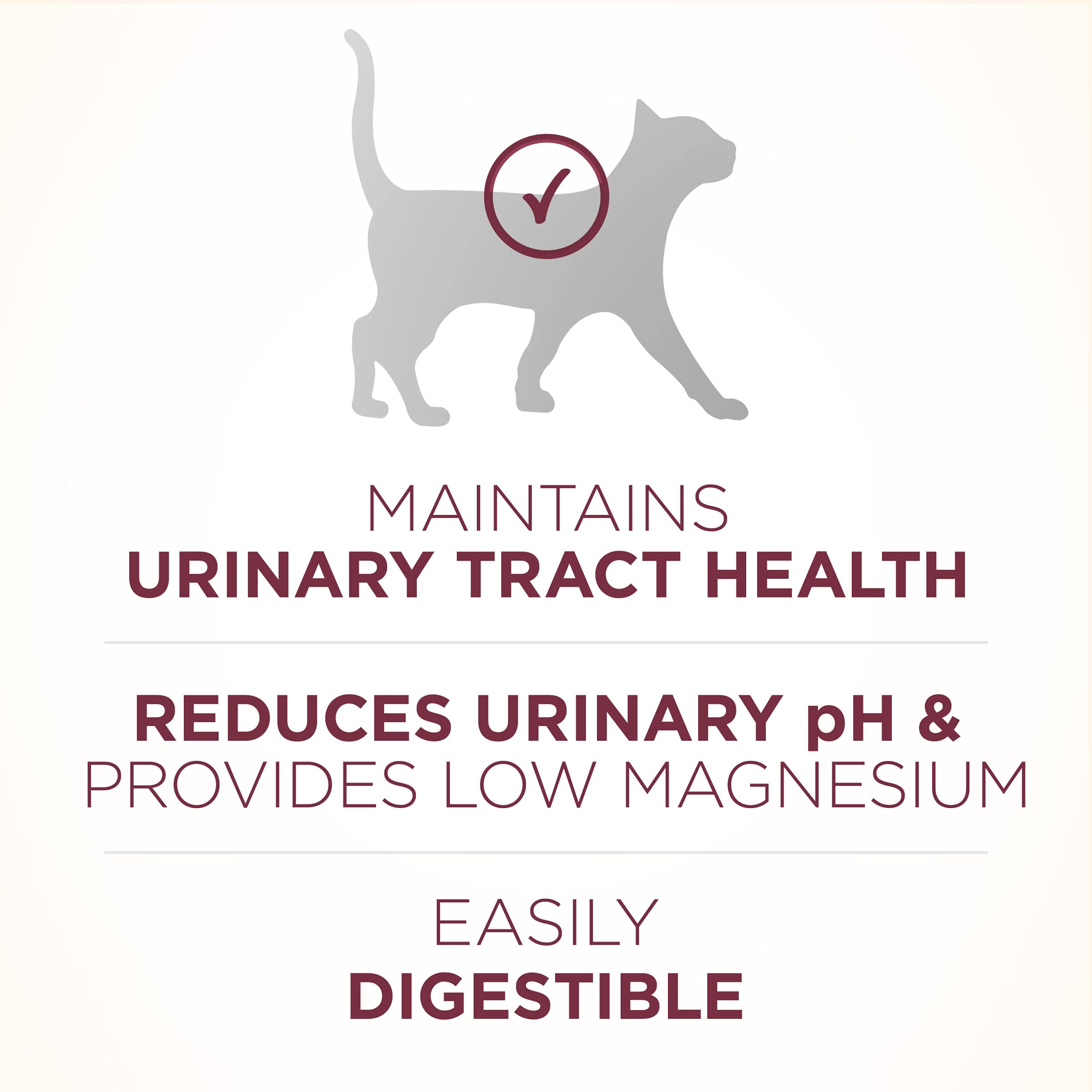 Purina ONE real chicken ingredient image showing quality protein