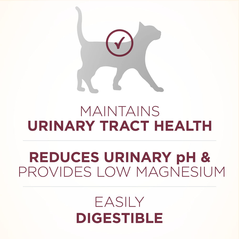Purina ONE real chicken ingredient image showing quality protein