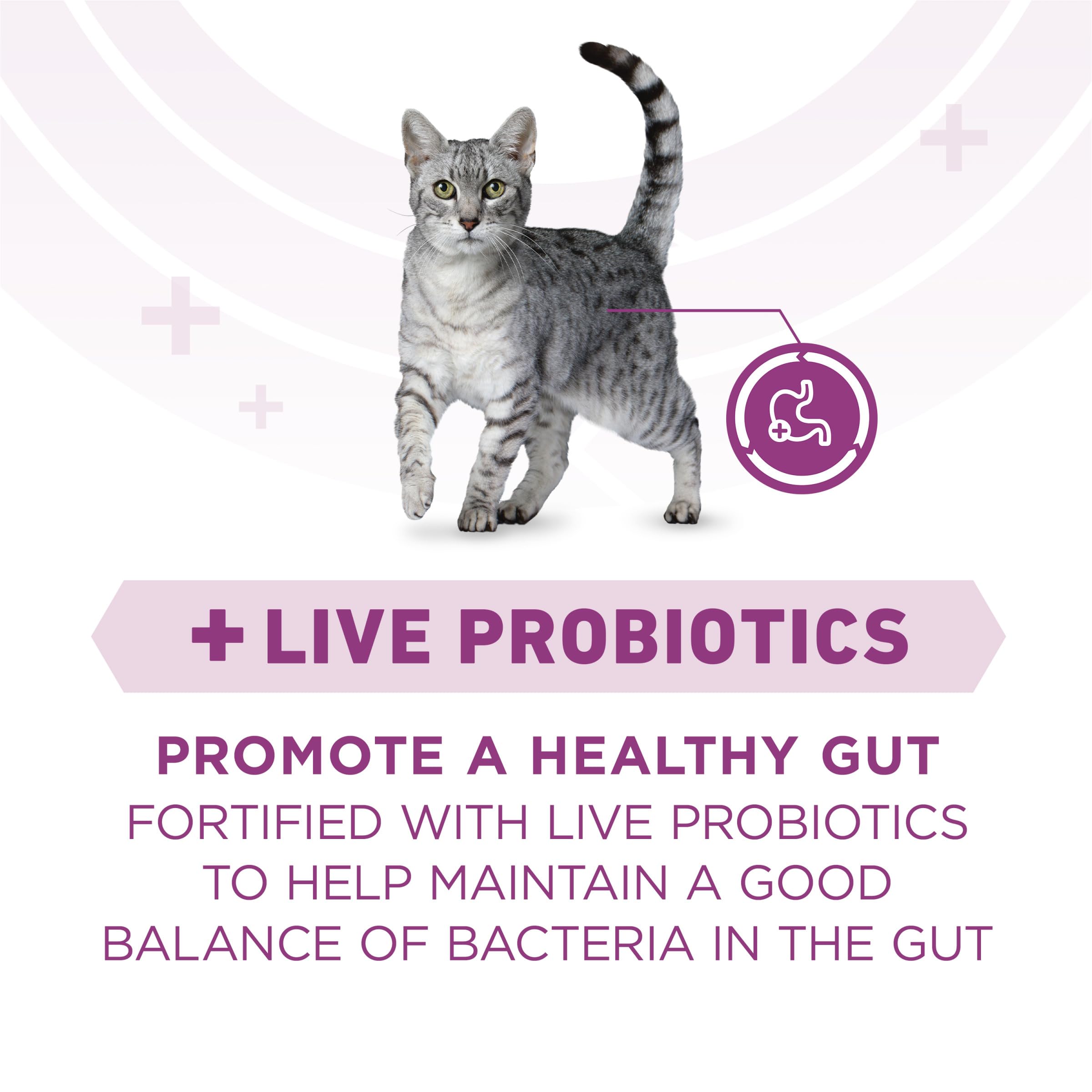 real chicken ingredient close-up on Purina ONE to highlight protein source