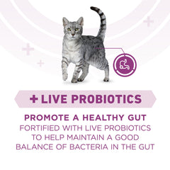 real chicken ingredient close-up on Purina ONE to highlight protein source