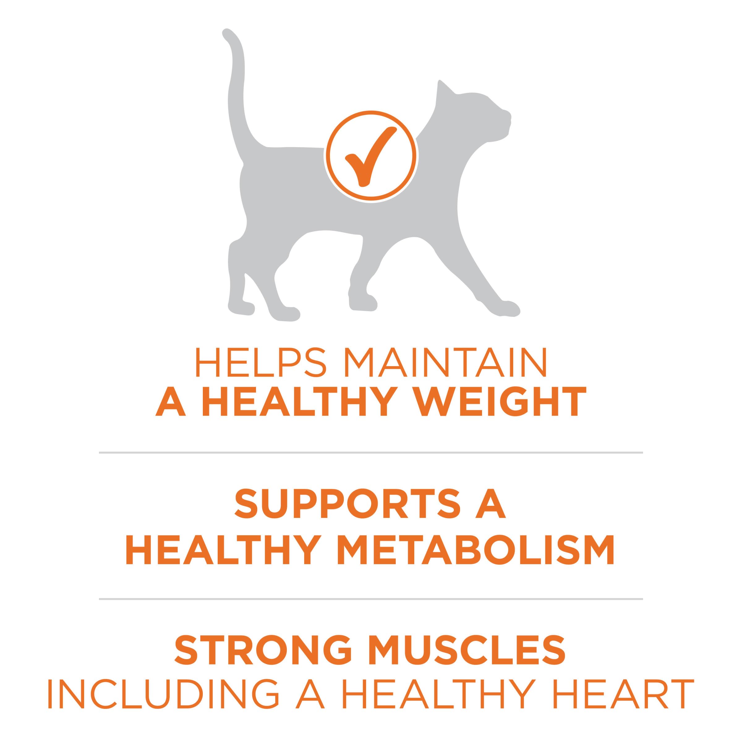 Purina ONE emphasis on real turkey ingredient for high-protein nutrition