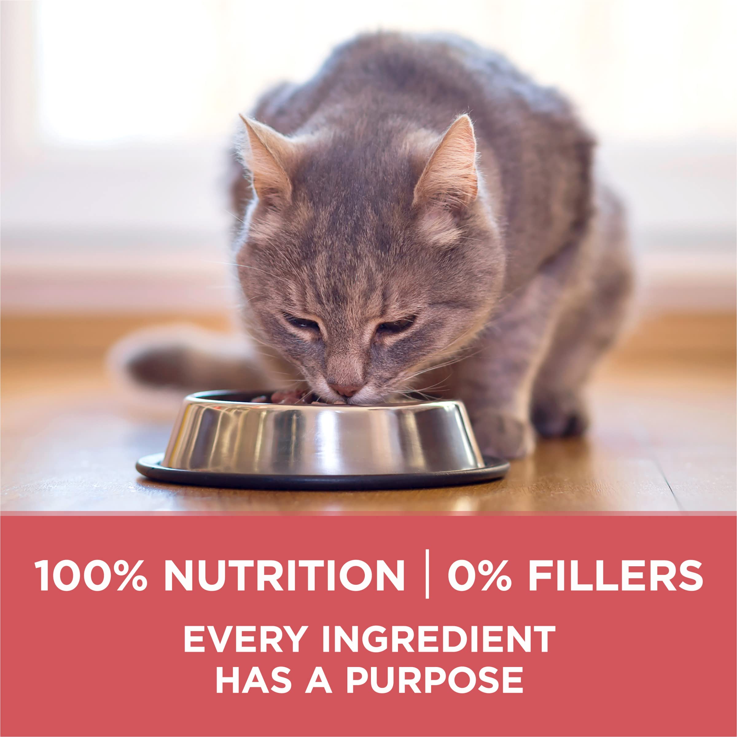 Close image of salmon ingredient emphasizing Purina ONE protein source benefit