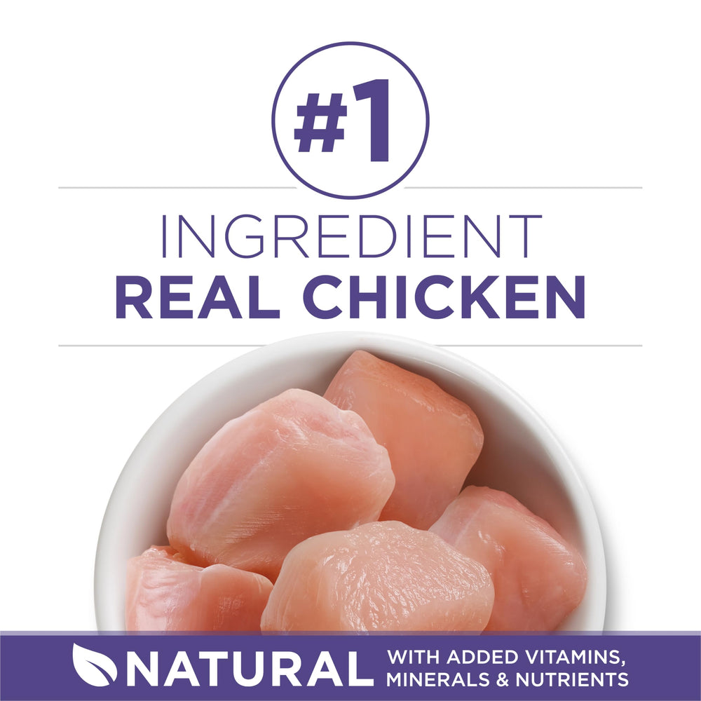 Purina ONE close-up of kibble texture promoting chewing benefits