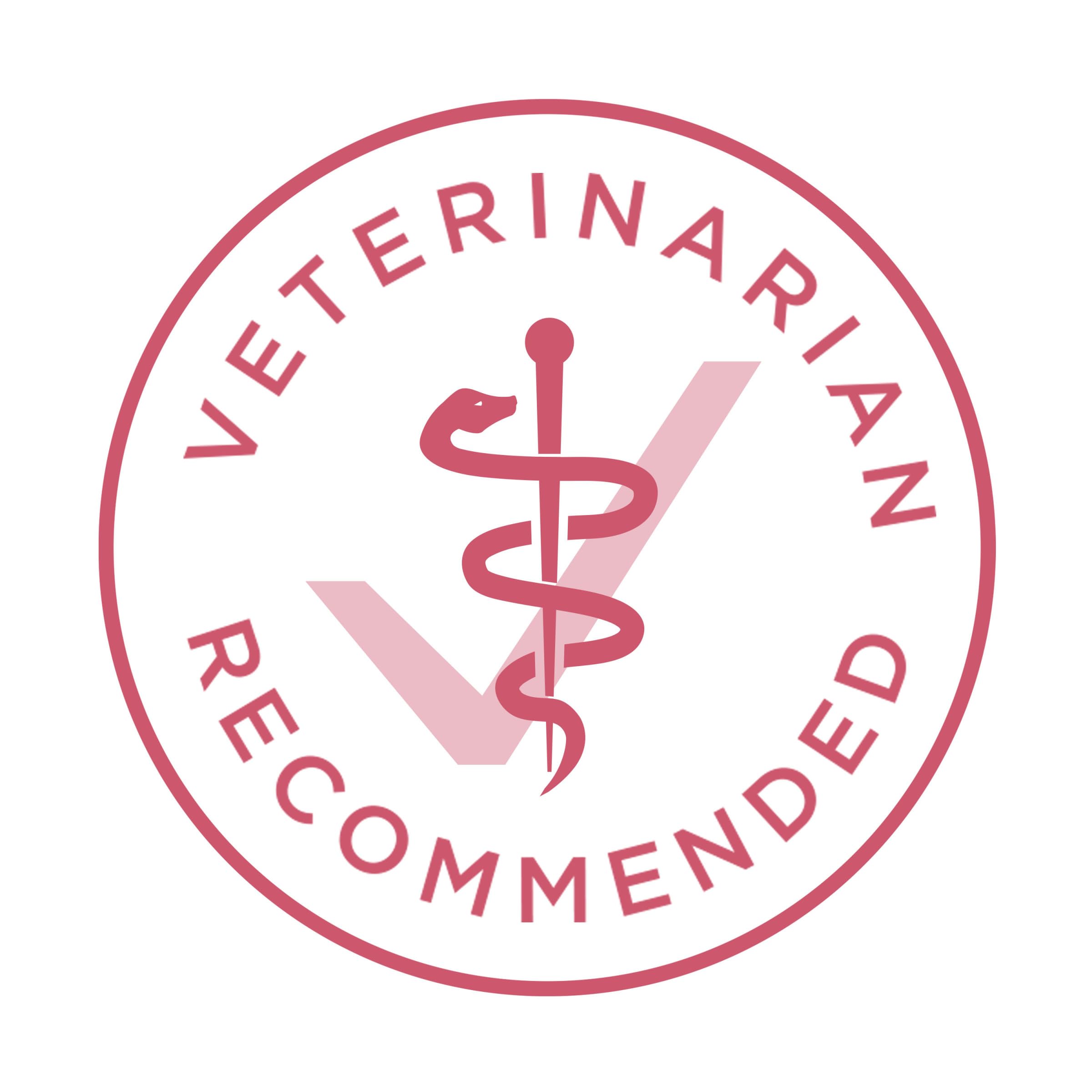 Crunchy Purina ONE kibble demonstrating dental support