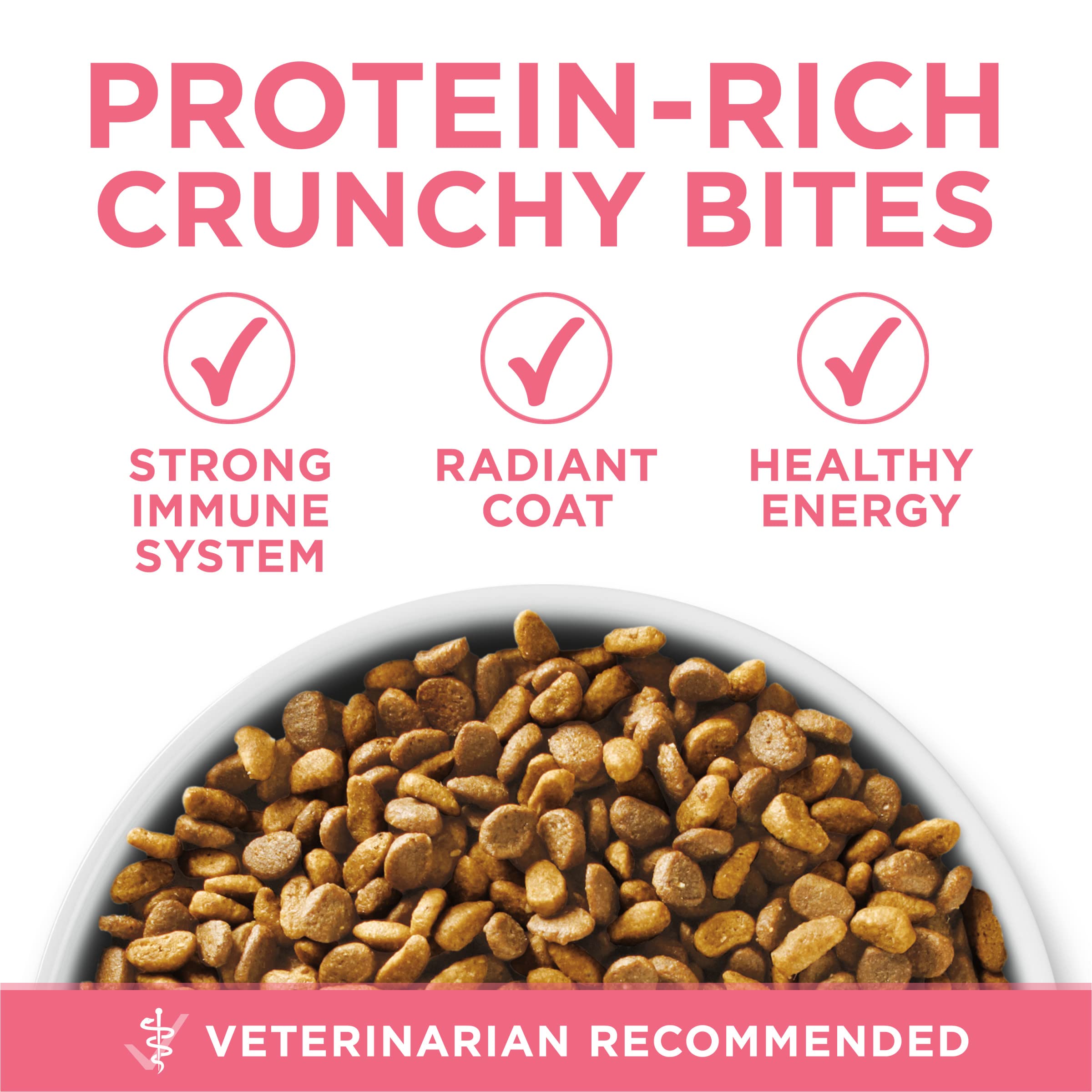 Purina ONE kibble next to ruler showing size for kitten mouths
