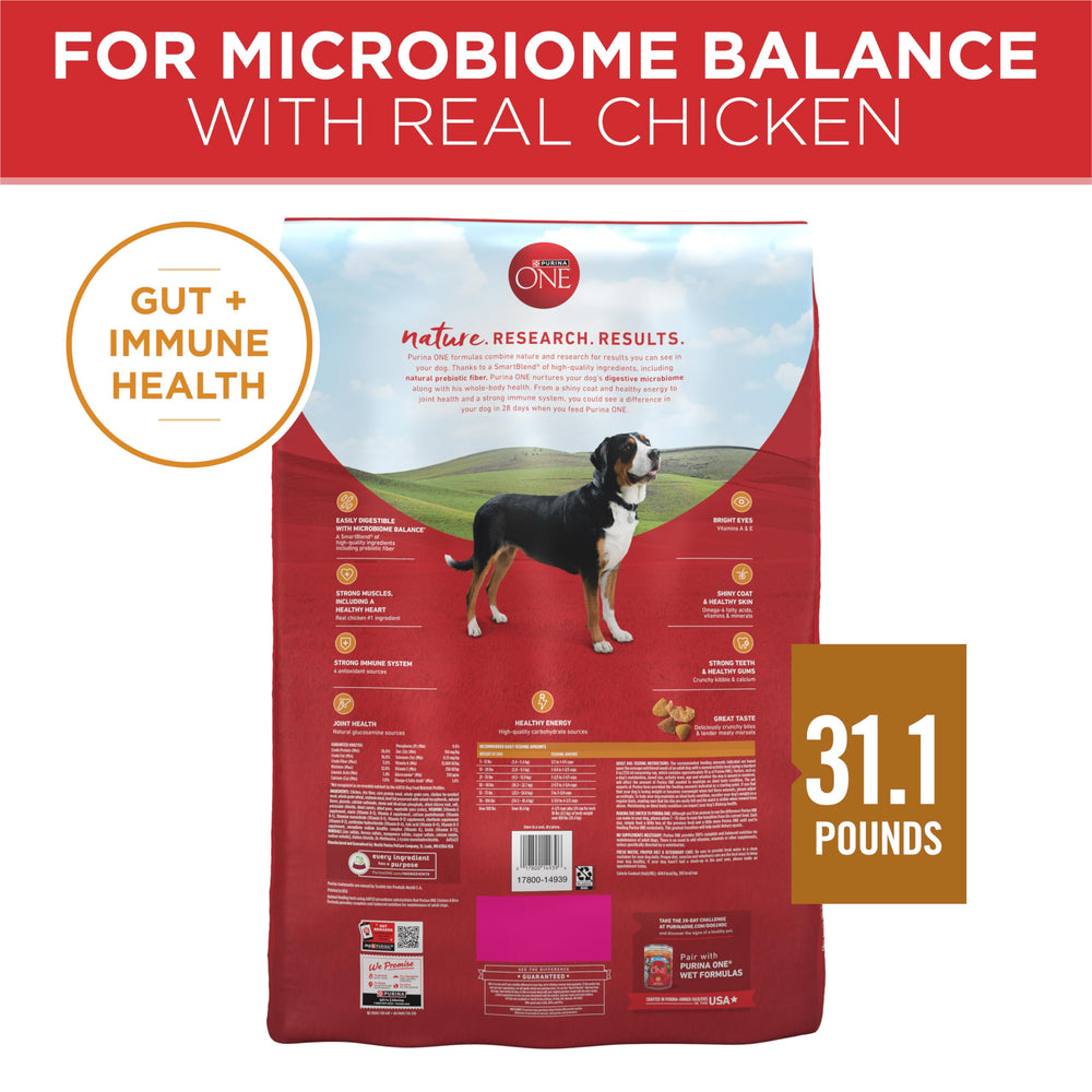 Hand holding Purina ONE kibble to show crunchy texture benefits