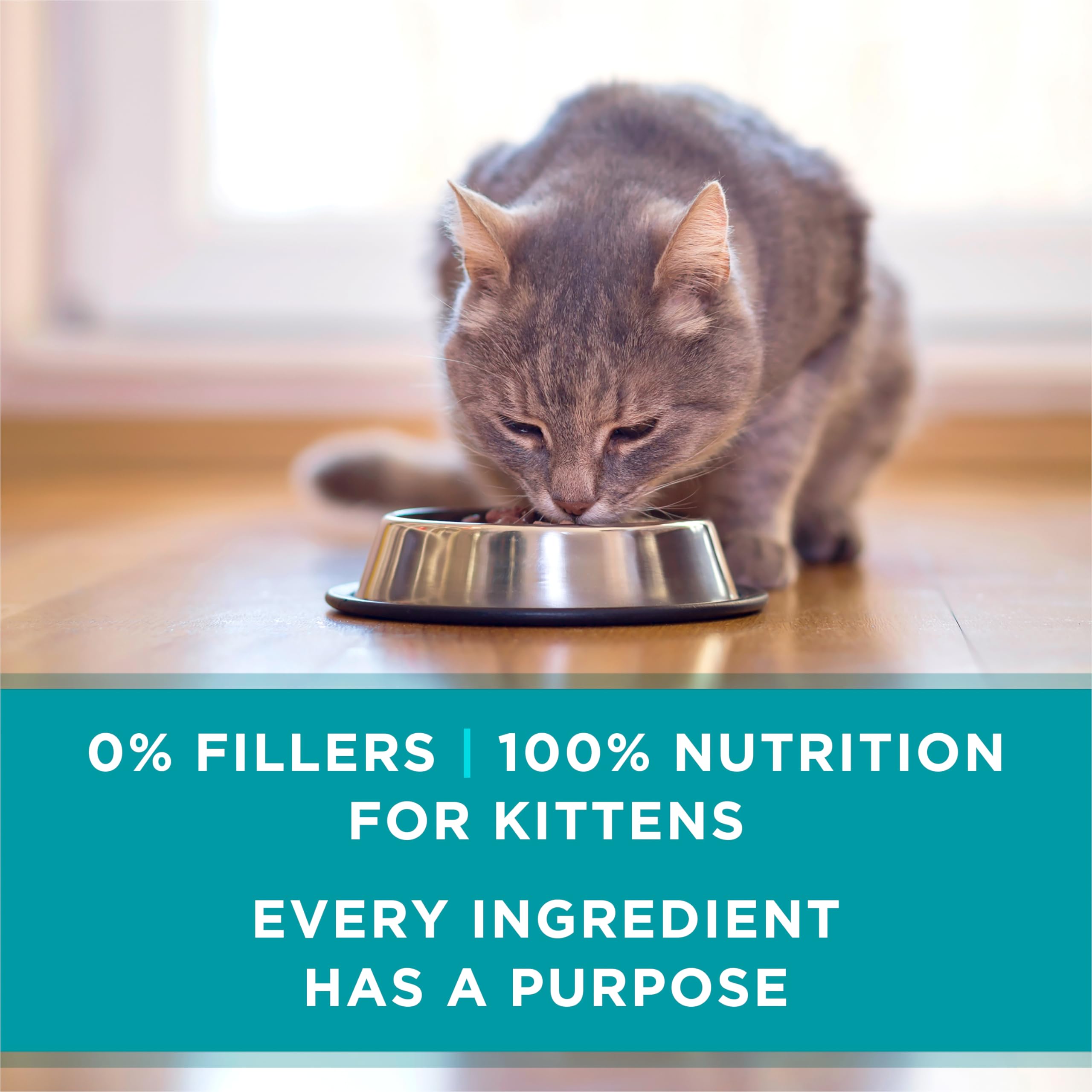 24-pack of Purina ONE on kitchen counter illustrating multipack convenience