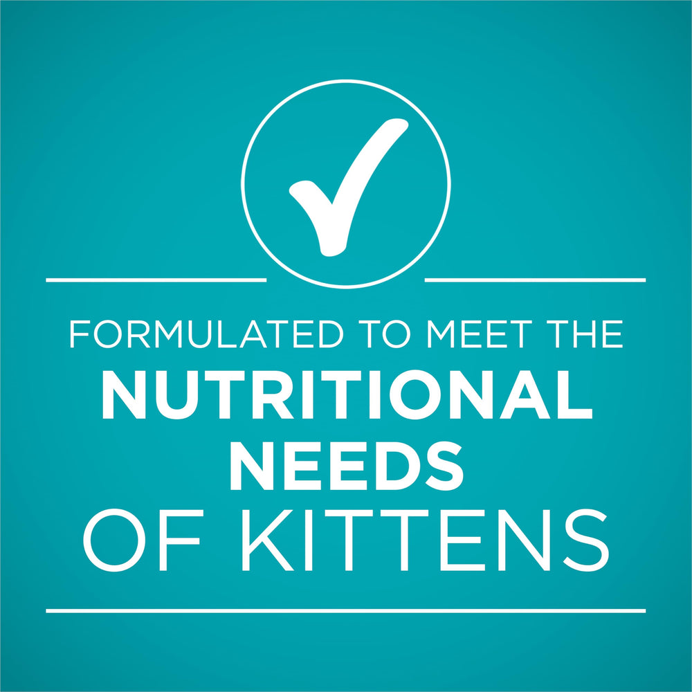 kitten eating Purina ONE from a bowl demonstrating appetite and palatability