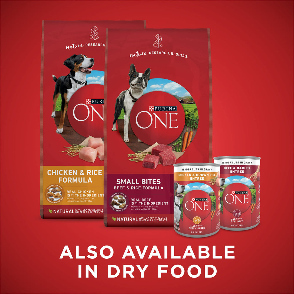 Purina ONE lifestyle image of dog enjoying meal offering satisfaction