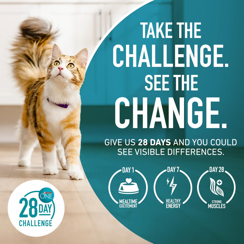 kitchen lifestyle scene with Purina ONE bag and a content cat showing everyday use