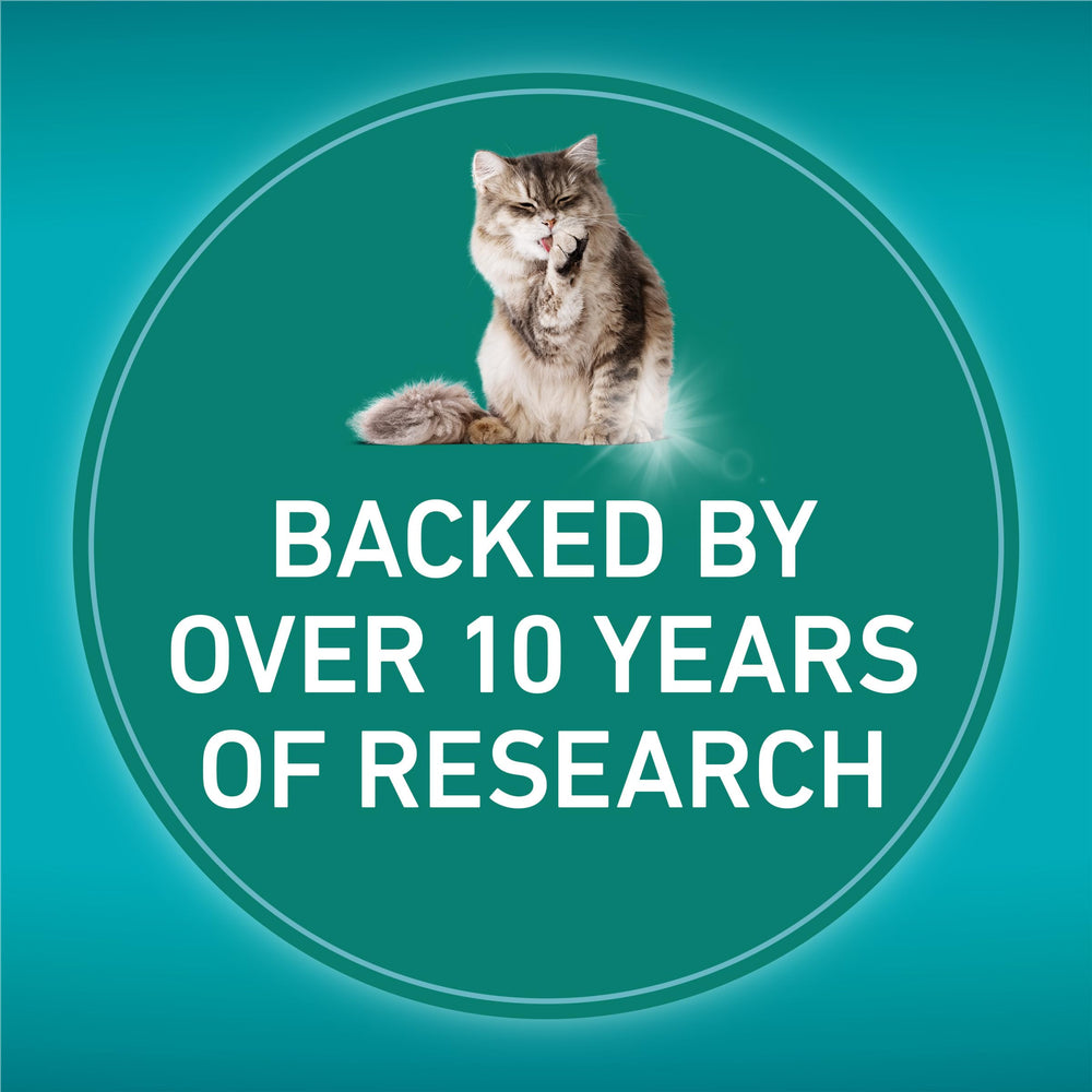 Purina ONE cat eating from bowl demonstrating palatability benefit
