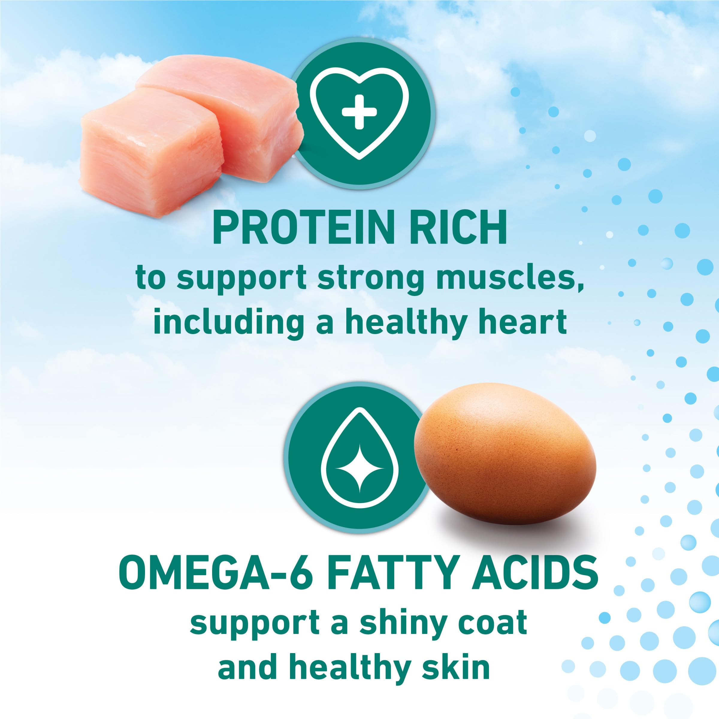 Purina ONE healthy skin and coat shot illustrating omega‑6 nourishment benefit